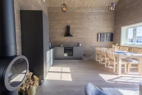 TV and multimedia, Kitchen or kitchenette, Dining area, fireplace, oven, stove, kitchen