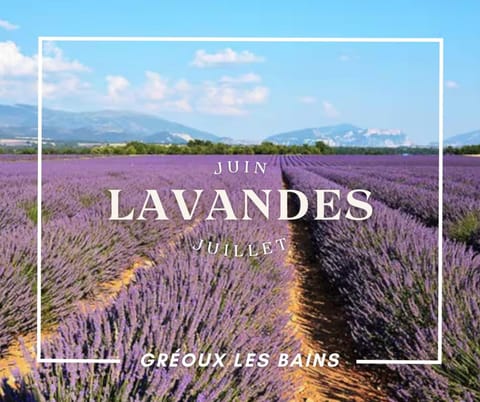 Verdon Secret - L'escapade parfaite Apartment in Gréoux-les-Bains