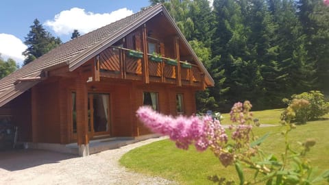 Chalet cosy & confort Spa,Sauna,Pétanque,VE - Top situation à Gérardmer Chalet in Xonrupt-Longemer