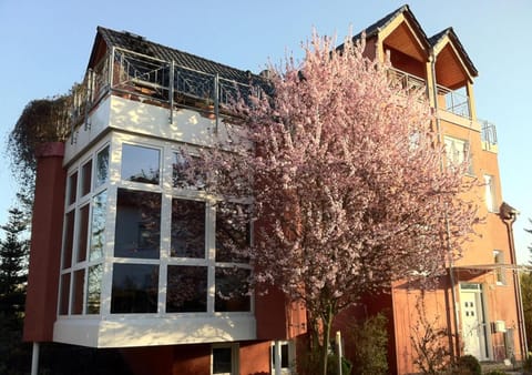 Facade/entrance, Spring