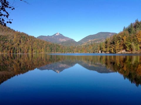 Ferienwohnung Litterscheid Apartment in Kufstein