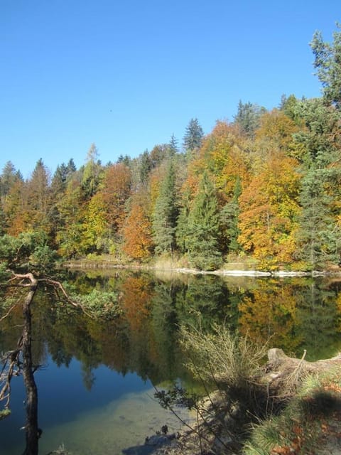 Ferienwohnung Litterscheid Apartment in Kufstein