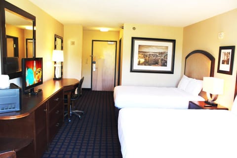 Bed, TV and multimedia, Photo of the whole room, internet, locker, air conditioner