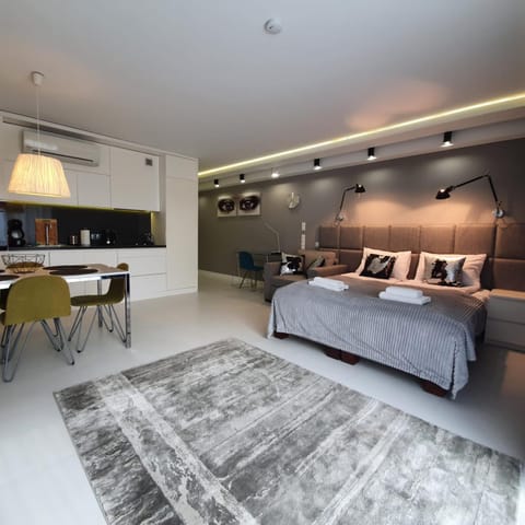 Bed, Kitchen or kitchenette, Living room, Photo of the whole room, Seating area, Dining area, Bedroom, air conditioner