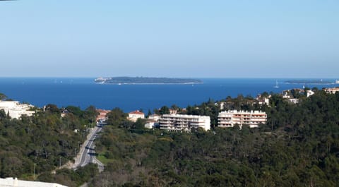 Off site, People, Natural landscape, Billiard, Casino, Decorative detail, Pets, Sea view, Swimming pool, Swimming pool, Family