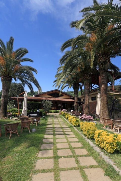 Property building, Garden view