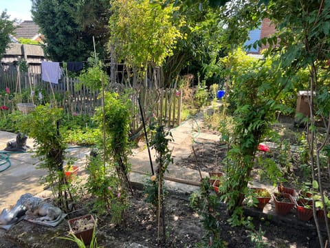 Seaside resort Apartment in Felixstowe