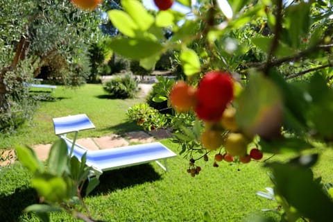 Garden, Garden view