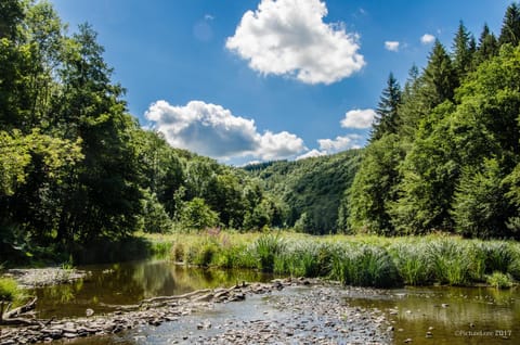 B&B Au Canard Bed and Breakfast in Wallonia, Belgium