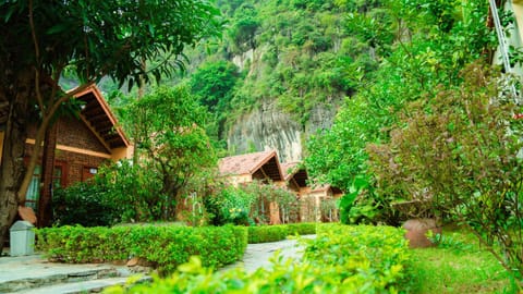Natural landscape