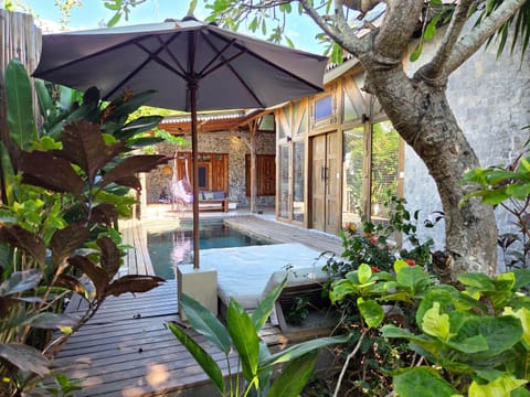 Garden, Swimming pool