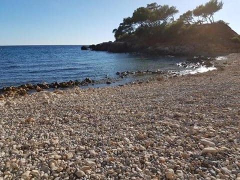 Beach, Hiking