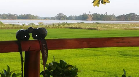 Natural landscape, Lake view