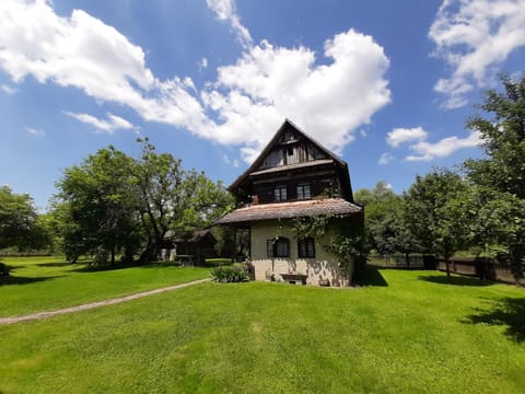 Property building, Garden, Garden view