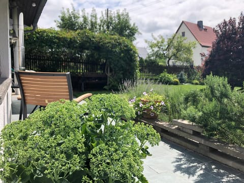 Day, Garden, Garden view