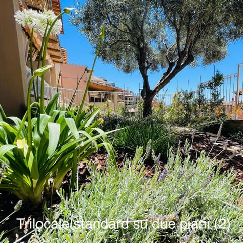 Spring, Garden, Garden view