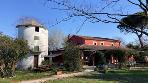 Property building, Garden, Garden view