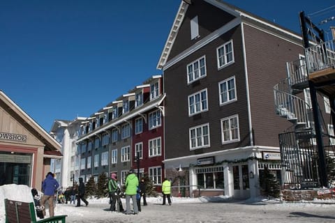Property building, Winter, group of guests
