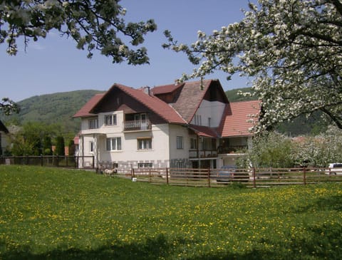 Property building, Spring, Day, Natural landscape, Garden, On site, Garden view, Mountain view