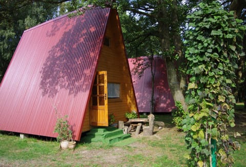 Sunrise Camp Łazy Nature lodge in West Pomeranian Voivodeship, Poland