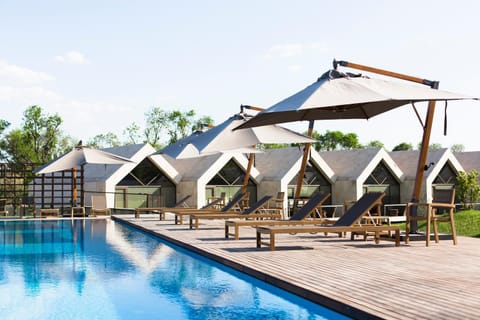 Day, Pool view, Swimming pool, Swimming pool, sunbed