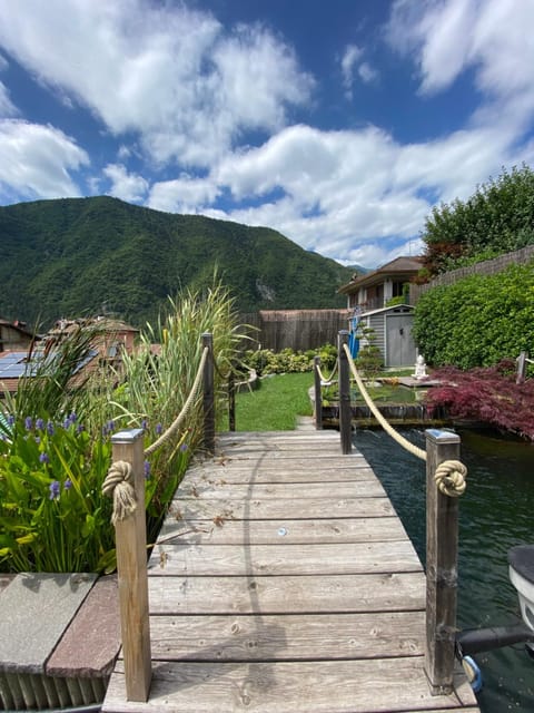 Garden, Garden view, Mountain view