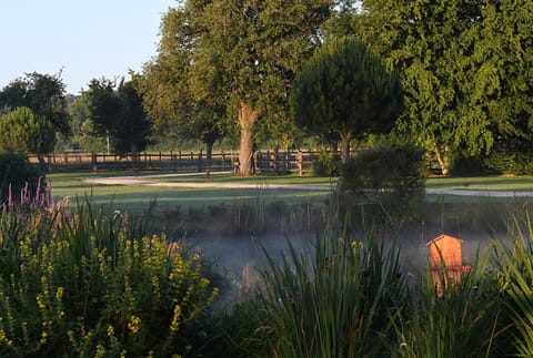 Day, Summer, Garden, On site