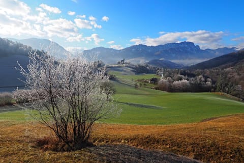 Natural landscape, Hiking, Garden view