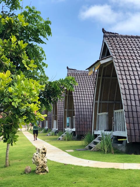 Property building, Facade/entrance, Garden
