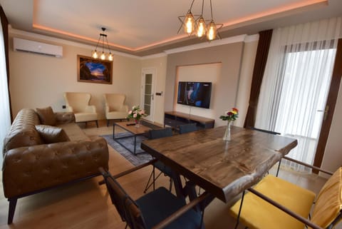 TV and multimedia, Seating area, Dining area, air conditioner