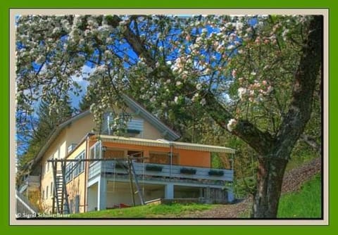Property building, Spring, Garden