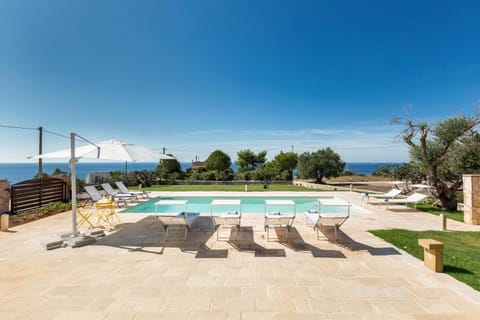 Garden, Swimming pool, sunbed