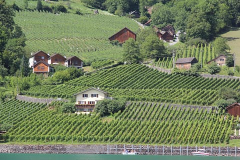Property building, Natural landscape, Bird's eye view