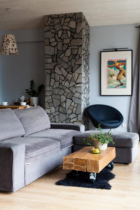 TV and multimedia, Living room, Photo of the whole room, Decorative detail