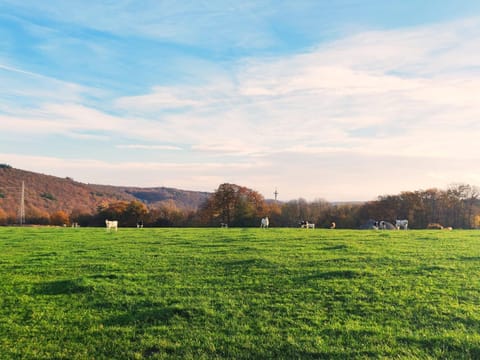 Ferme de la Petite Fagne Bed and Breakfast in Wallonia, Belgium