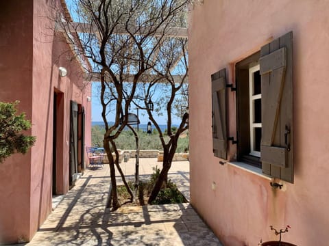 Roxanne's Olive Grove House House in Argolis, Greece