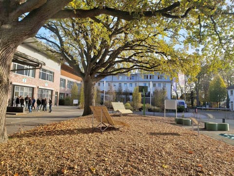 Inner courtyard view