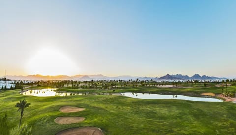 Activities, Golfcourse, Sports