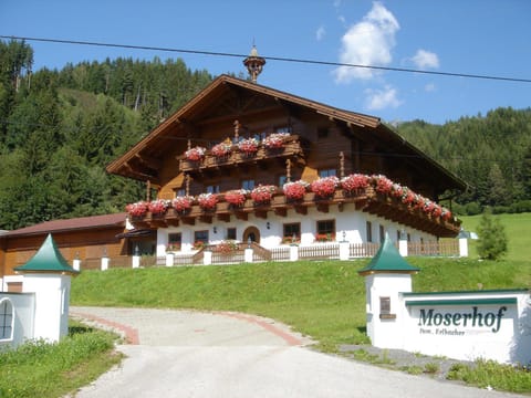 Moserhof Apartment in Schladming
