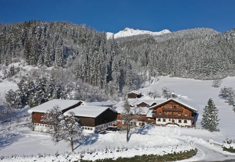 Moserhof Apartment in Schladming