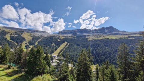 Summer, Mountain view