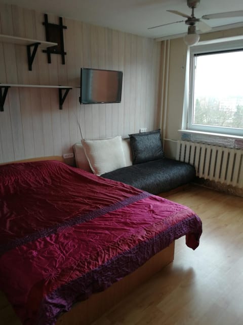 Flat, 1 room, study Apartment in Lithuania