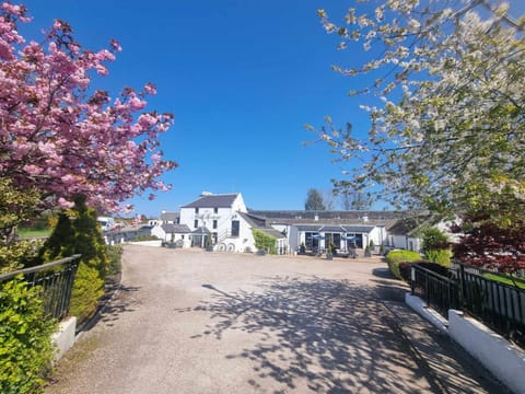 Property building, Natural landscape, Garden view, Street view