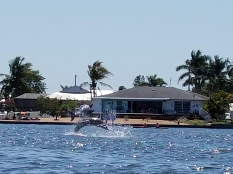 Bayview BnB Bed and Breakfast in Matlacha Isles