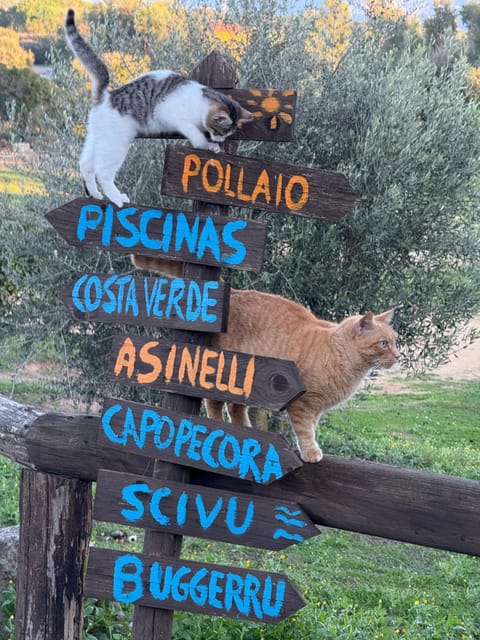 Agriturismo Sa Perda Marcada Farm Stay in Sardinia