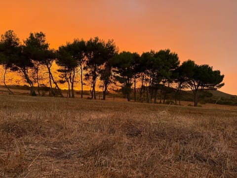 Agriturismo Sa Perda Marcada Farm Stay in Sardinia