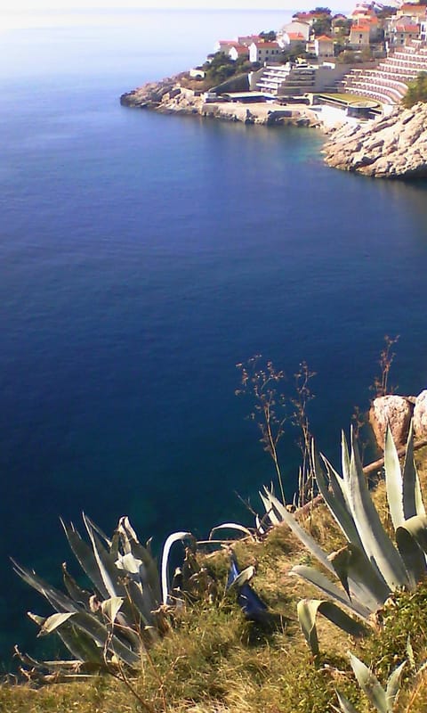 Natural landscape