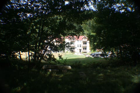 River view