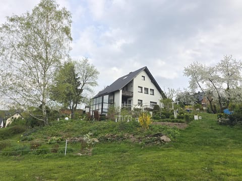 Property building, Garden, Garden view