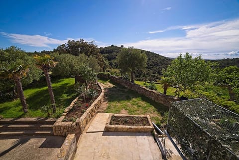 Property building, Garden view